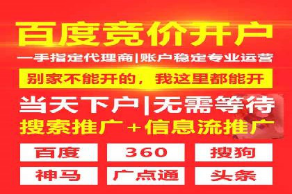 揭秘SEM竞价成功案例，助你提升ROI
